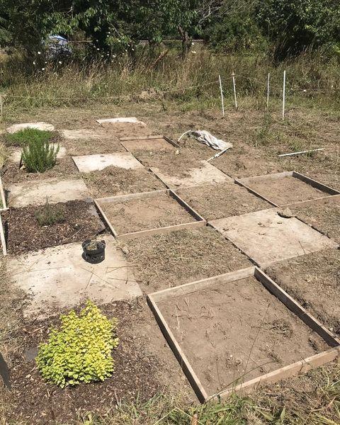 355736574 760071329351022 2165236267980770782 n