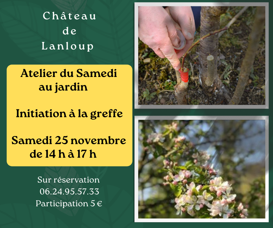 Atelier du samedi 251123