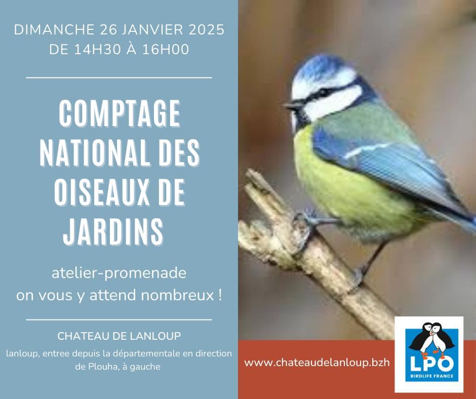 Image evenments comptage des oiseaux 2025