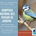 Image evenments comptage des oiseaux 2025