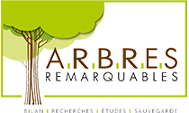 Logo asso arbres