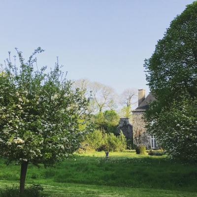 Verger printemps vue arriere chateau